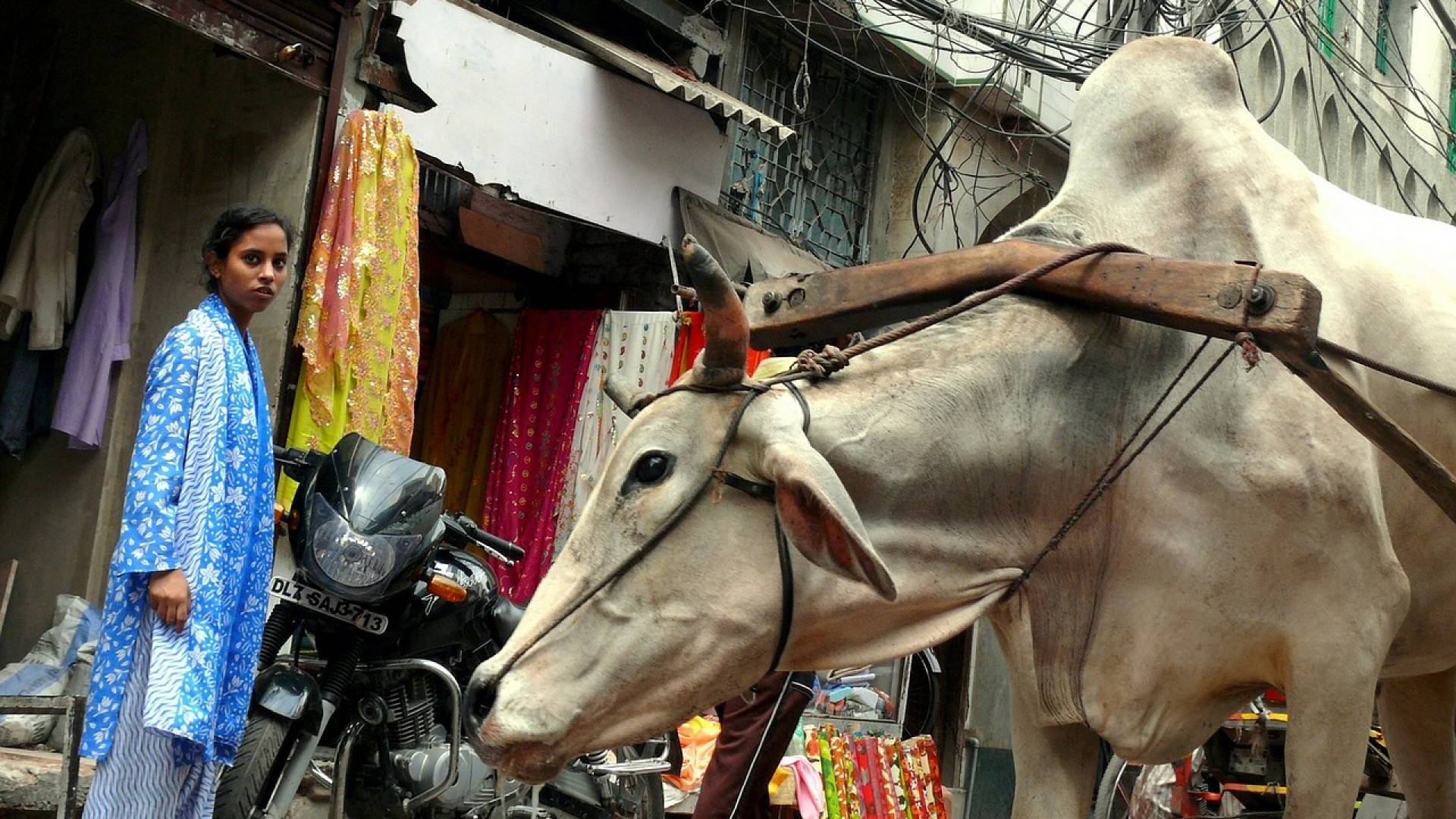 Comment réussir son premier voyage en Inde