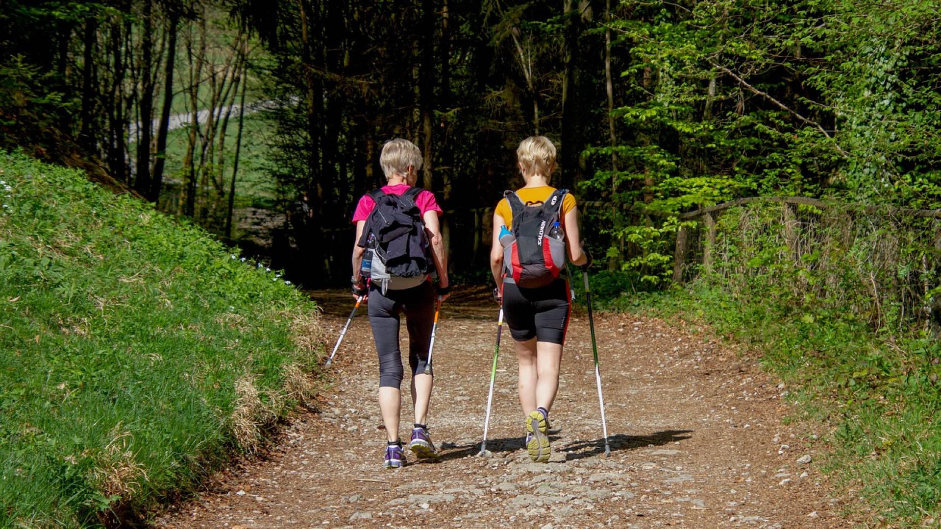 La marche nordique, une activité qui vous veut du bien