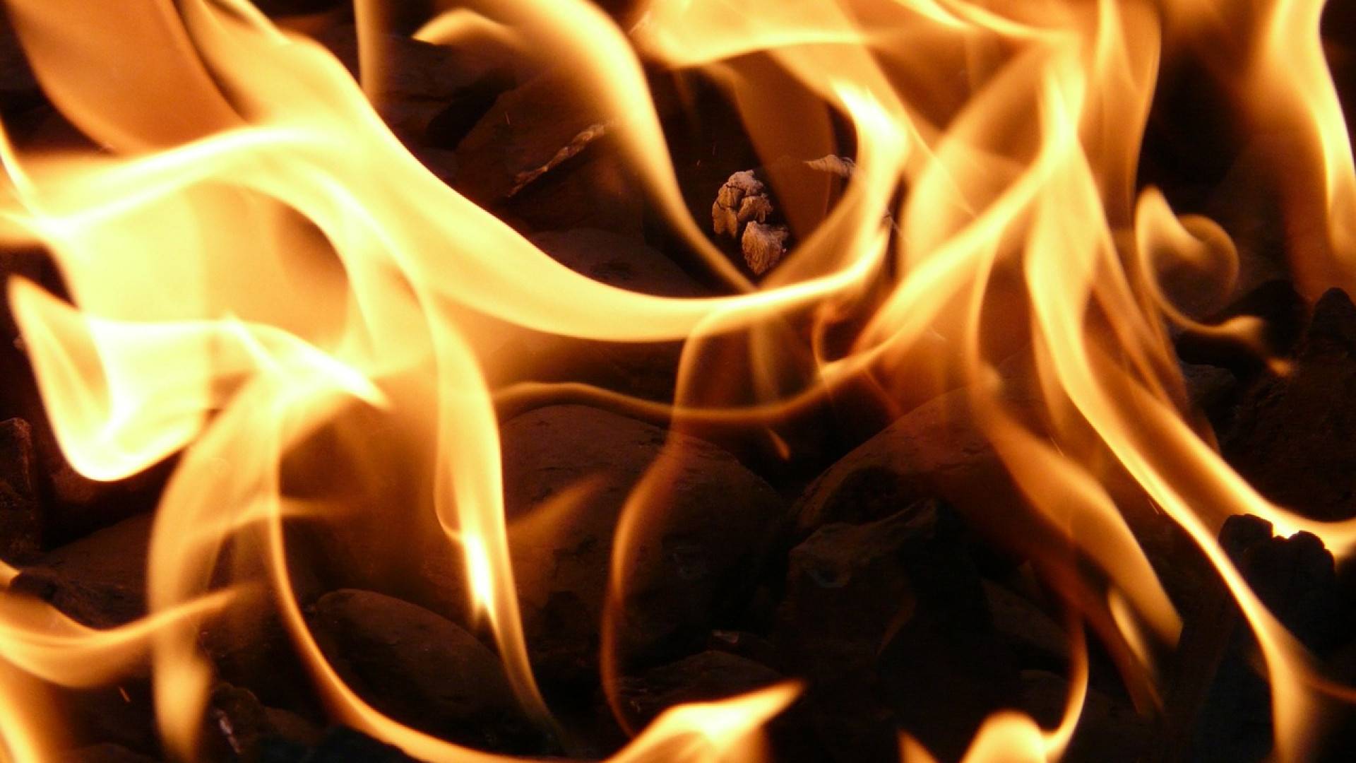 Un allume feu naturel et écologique