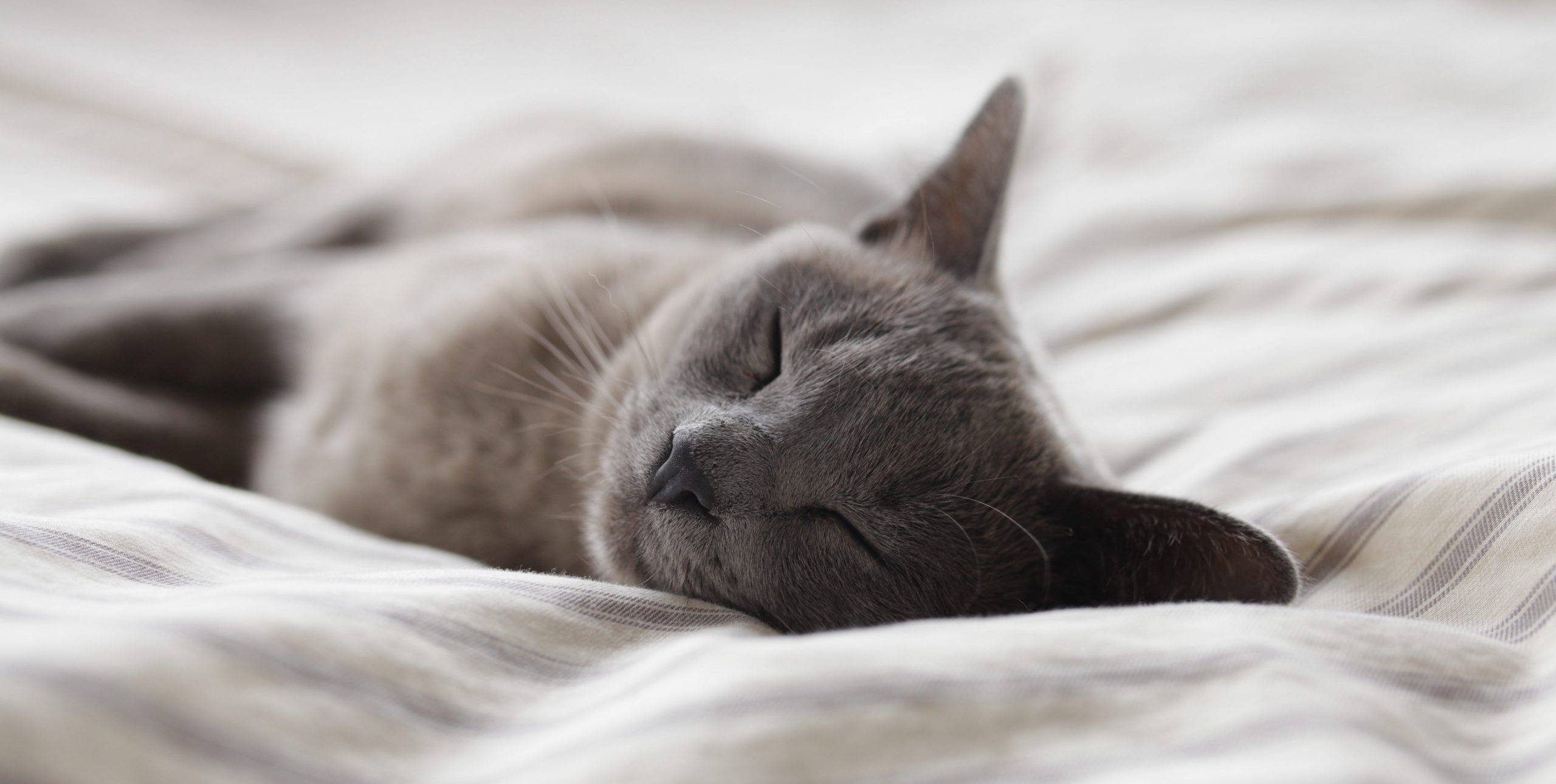 Est-ce bien de dormir avec vos chaussettes ?