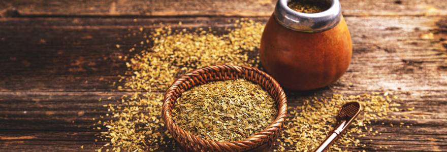 Saviez-vous que vous pouvez utiliser yerba mate pour la perte de poids ?