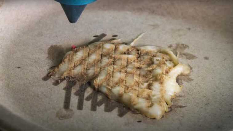 Des scientifiques cuisinent un laser de poulet développé en impression 3D