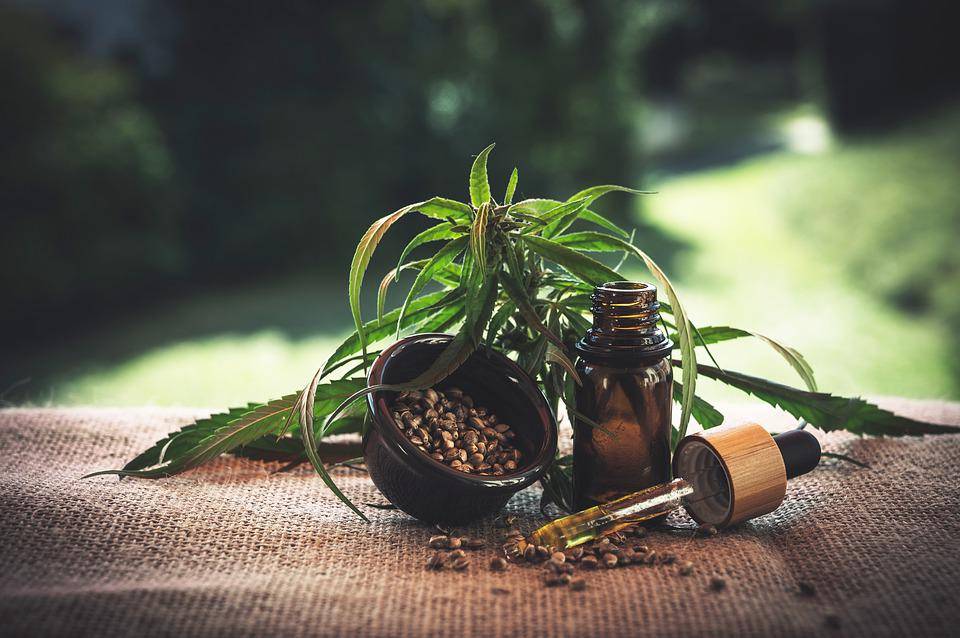 Fleurs de CBD : La meilleure façon d’obtenir votre CBD pour les débutants